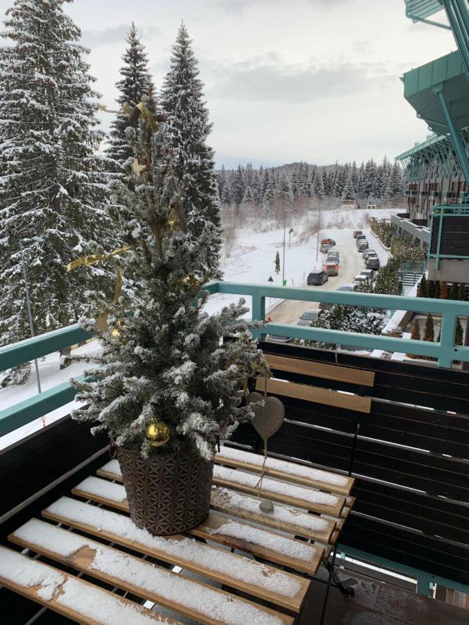 Luxury Silver Mountain Apartment ポイアナ・ブラショフ エクステリア 写真