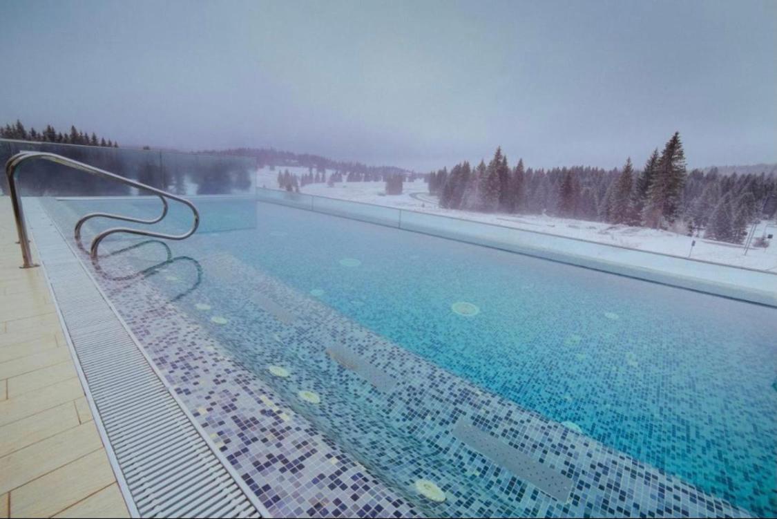 Luxury Silver Mountain Apartment ポイアナ・ブラショフ エクステリア 写真