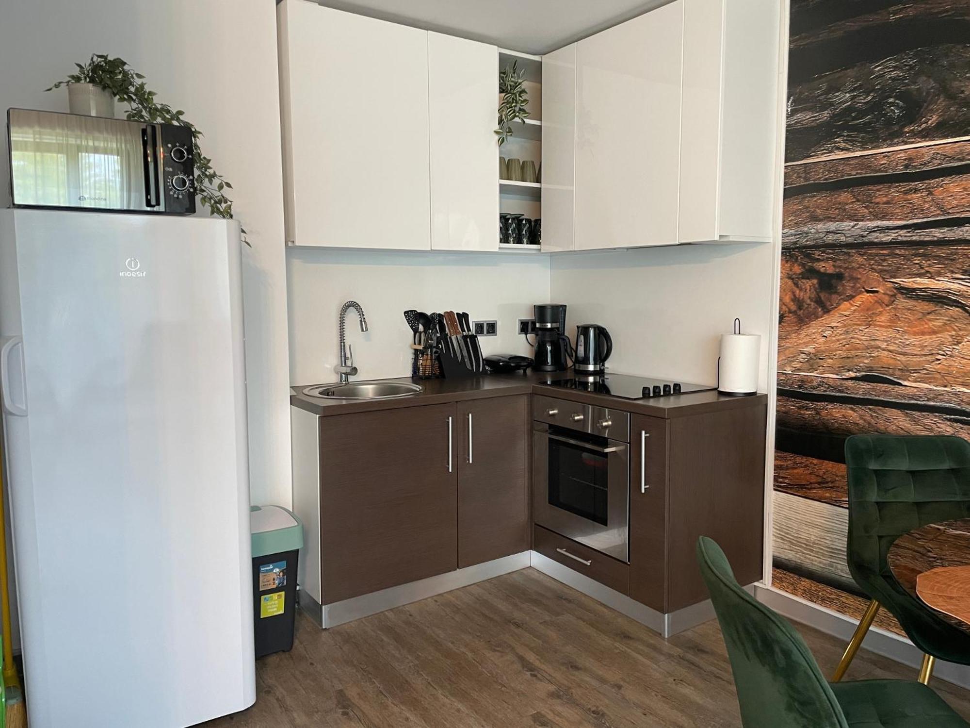 Luxury Silver Mountain Apartment ポイアナ・ブラショフ エクステリア 写真