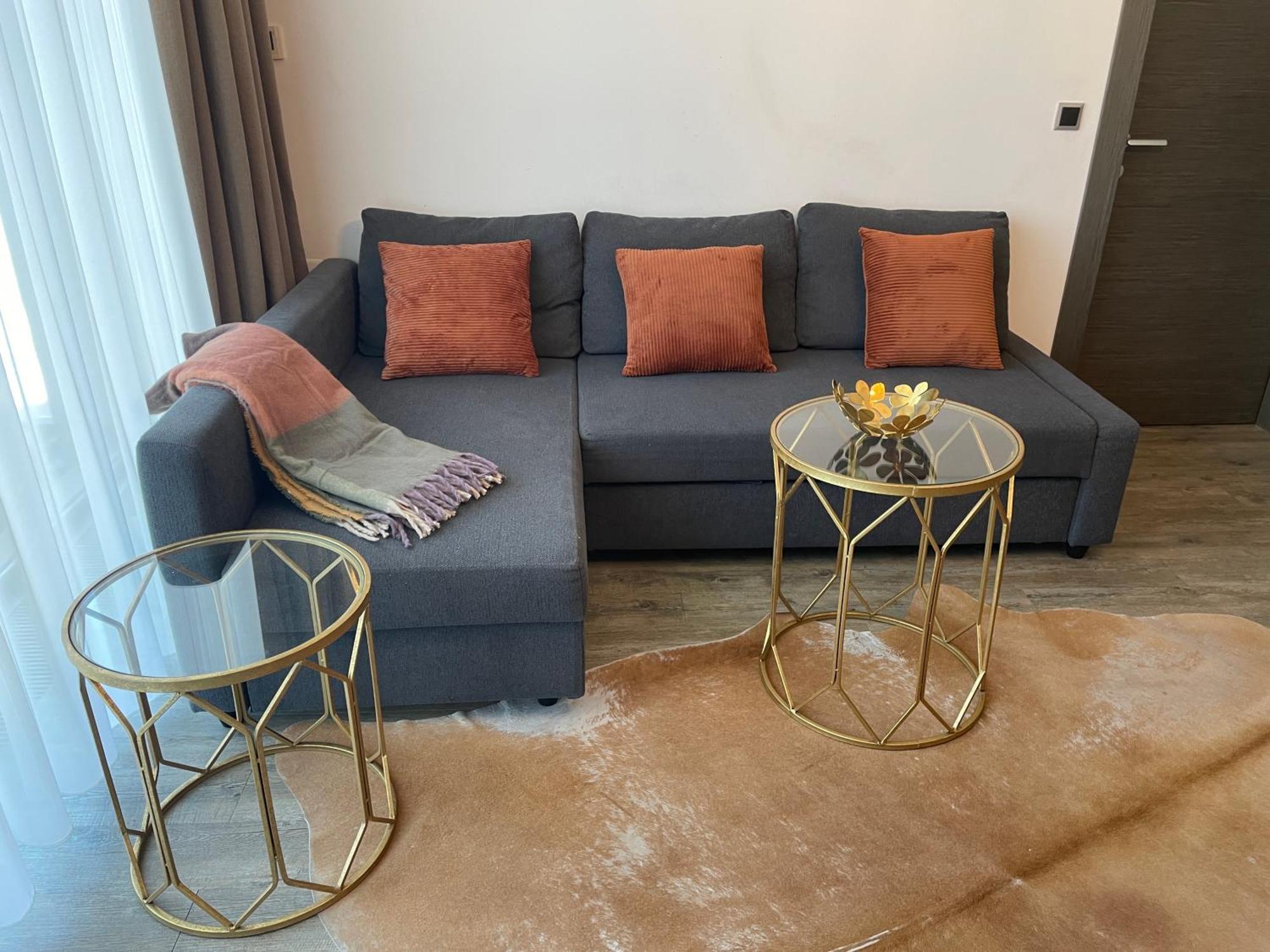 Luxury Silver Mountain Apartment ポイアナ・ブラショフ エクステリア 写真