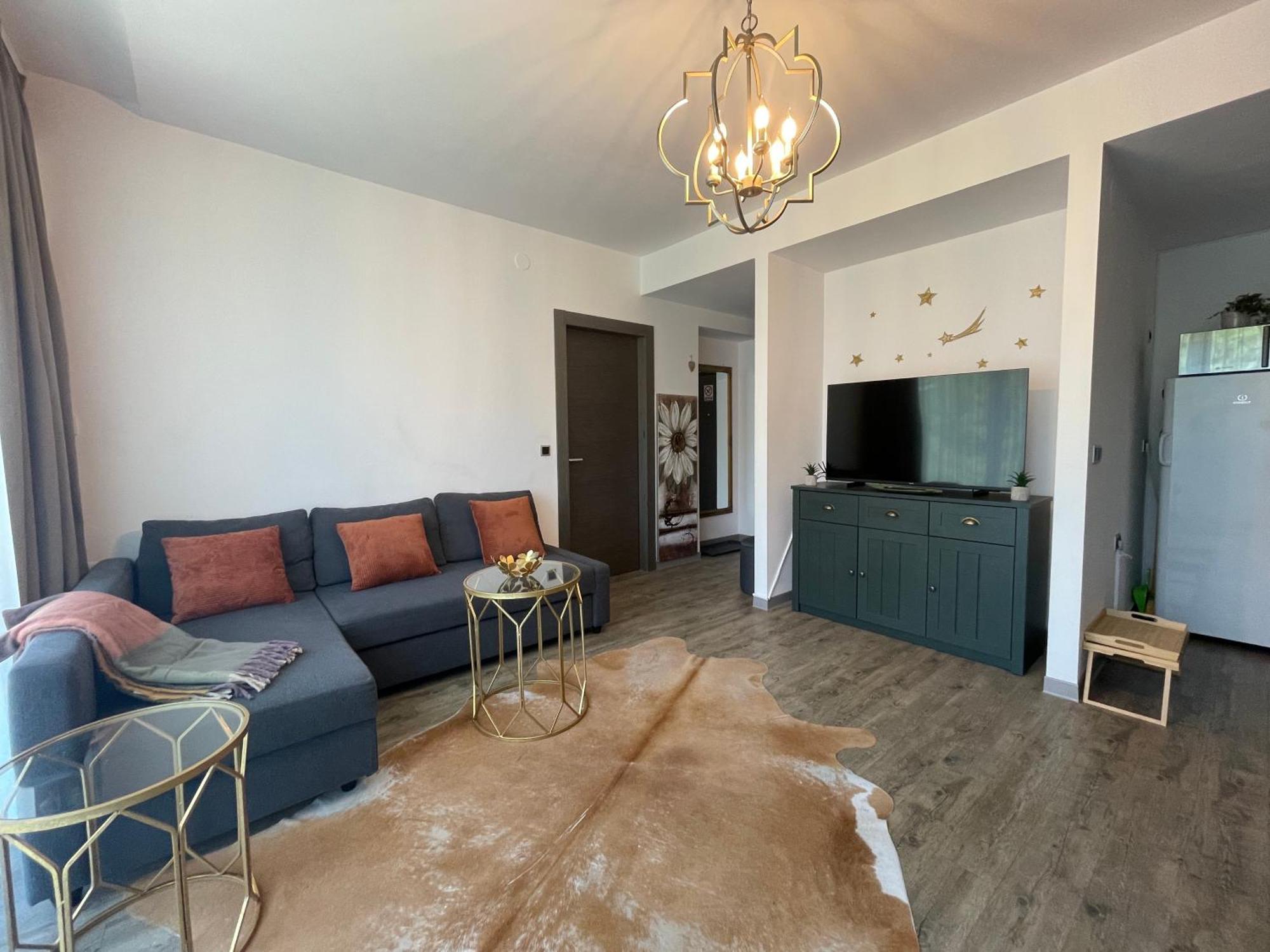 Luxury Silver Mountain Apartment ポイアナ・ブラショフ エクステリア 写真