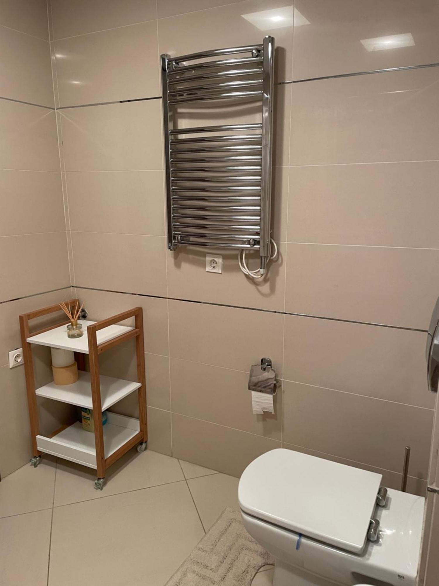 Luxury Silver Mountain Apartment ポイアナ・ブラショフ エクステリア 写真