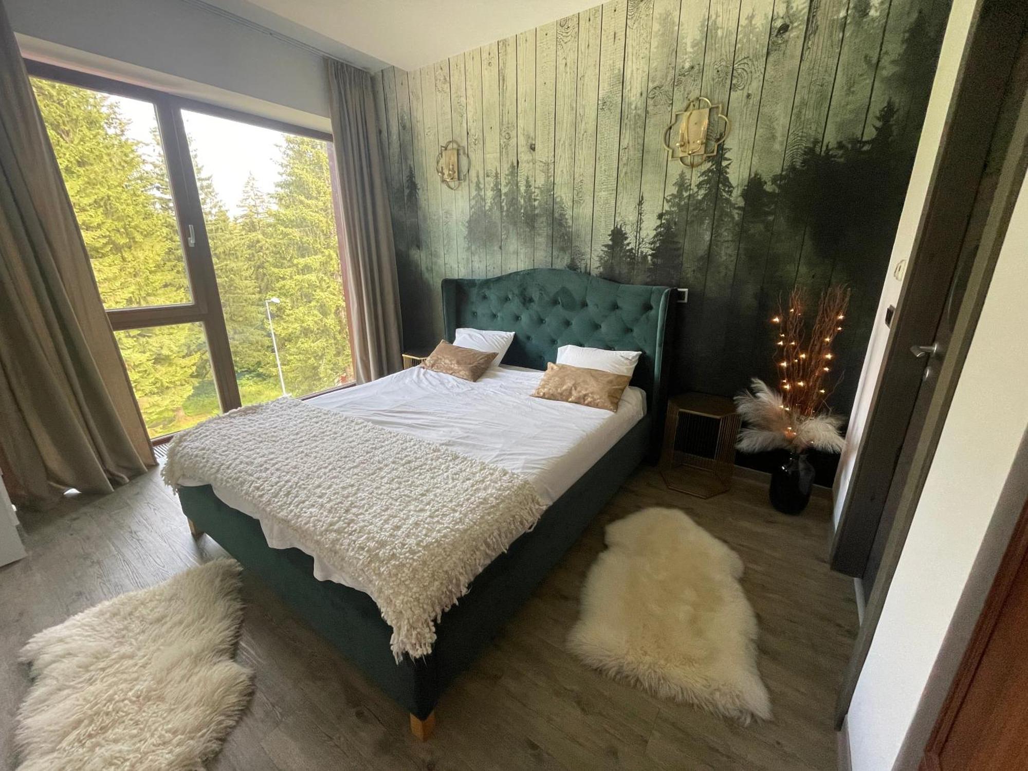 Luxury Silver Mountain Apartment ポイアナ・ブラショフ エクステリア 写真